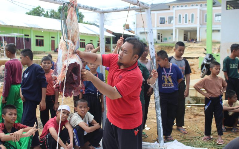 Pemotongan hewan qurban